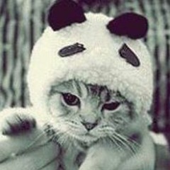 Sheryn Fernanda Rodriguez