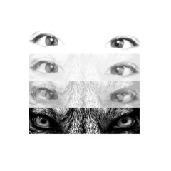 pvssixnbvby