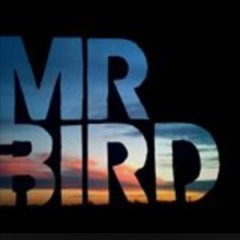 Mr.Bird Man