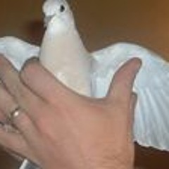 marilyn manson - Saint (revamped)