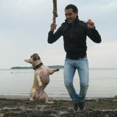 Andrew_tar23a