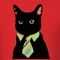 BIack_Cat