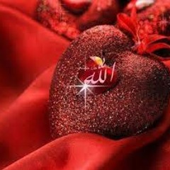 rukh fatima37