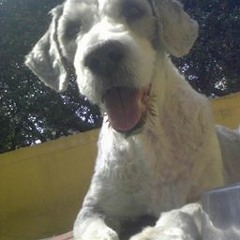 Ma Fernanda Fernandez