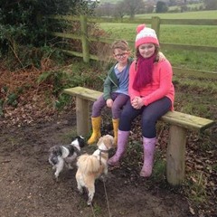 Jolene Blonde O'sullivan