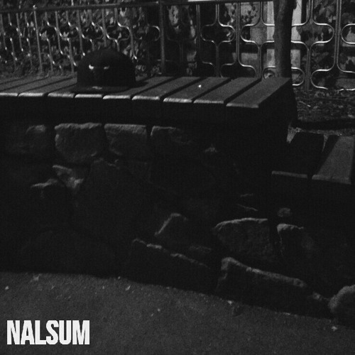 nalsum’s avatar