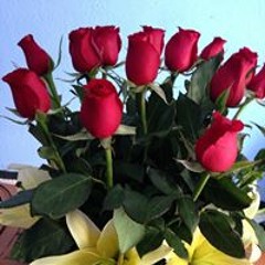 Aurora Martinez Pineda