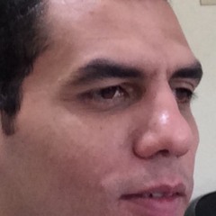 W. M. Hegab