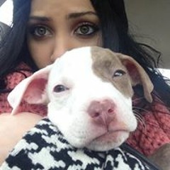 Brooklyn Pj Williams