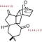 Paranoid Alkaloid