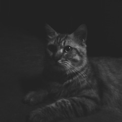 Sta. Ana's - Dear Mary (Sample)