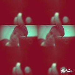 Miguel Alejandro Vieyra