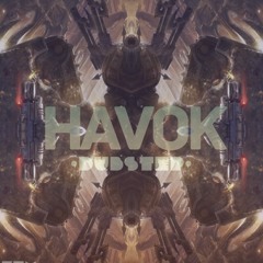 Havok Dubz
