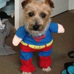 Gabriella De Angelis