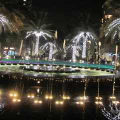 Safa Hamayoun