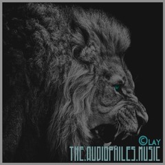 The.AudioPhiles.Music