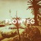 Flowtec