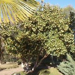 Conchi De Agueda Serrano