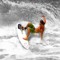elyKSurfSFL