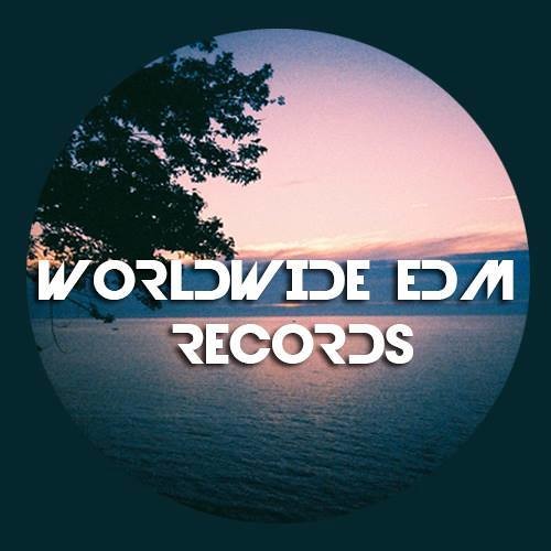Worldwide Dubstep Records’s avatar