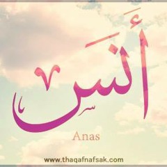 Anas Samy