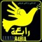 ELSAYED KHALIL 1