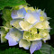 user1844707