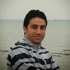 ahmed a-mageed