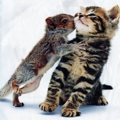 ဘာလိုလို  ထူး အိမ္ သင္  .. ျဖဴသီ