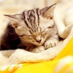 離家出走 cover by kk