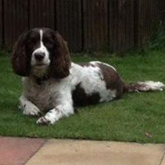 Justin Mark Woodhouse