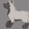 poochyena 1014
