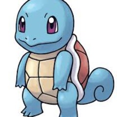 serialsquirtle
