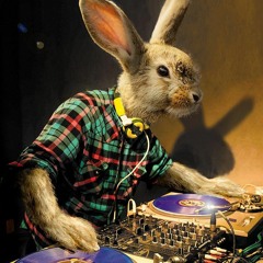 BassRabbit