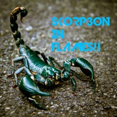 skorp3on