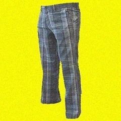Polyester Pants