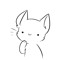 Yair The Cat