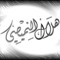 hallal060