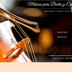 Músicos Bodas y Eventos