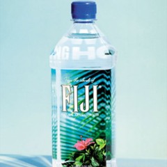 Fiji Reiss