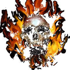 Osmium Skull