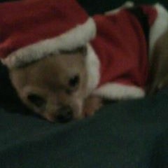 Tangela Strickland Niles