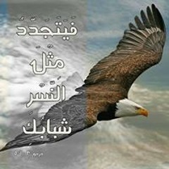 favorite 1