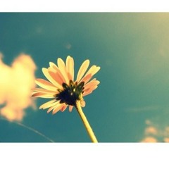 bas_us55