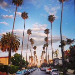 Black White Dynamite