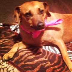 Terri and Bella  Giorgio