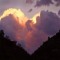 Casey Love 5