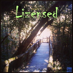 Lizensed