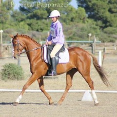 Tammy Louise Gutsche