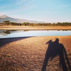 Juan Gutierrez-Mellado